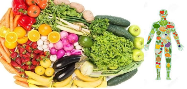 Nutrition and Digestive Health
